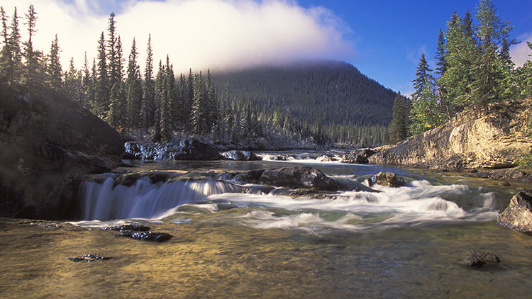 Mountain Stream