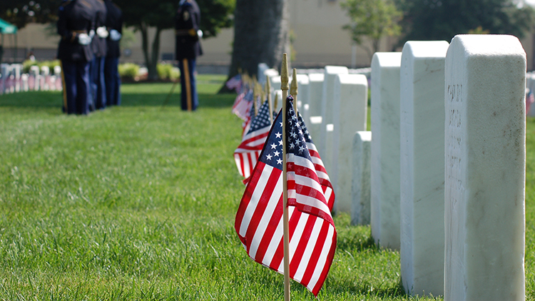 American flags placed at the cemetery to honor veterans