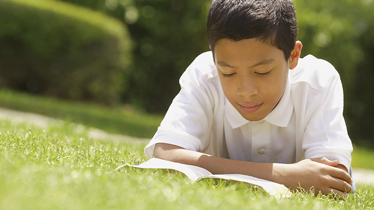 Boy Reading a book