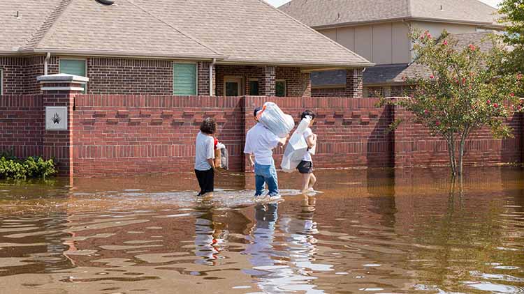 Photograph of three residents of a Houston suburb carrying belongings in aftermath of flooding caused by Hurricane Harvey, Houston, Texas, USA, side view
