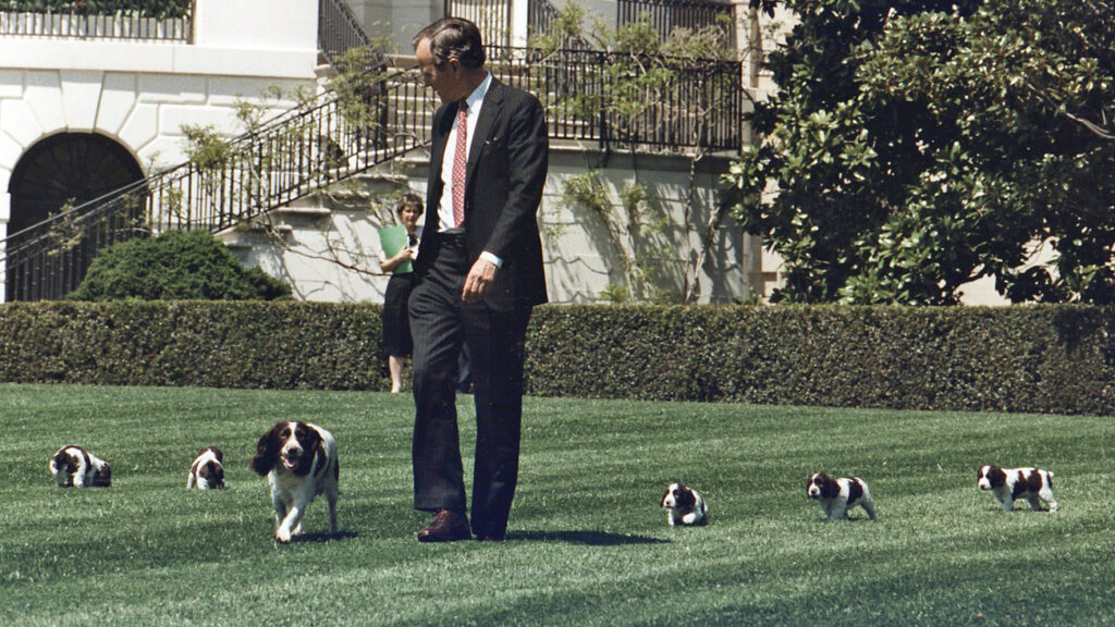 George H.W. Bush y perros