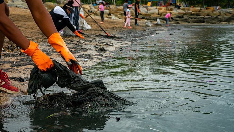 Voluntarios adultos y niños recogiendo basura en la playa del mar.